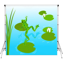 Frog Pond Backdrops 10810387