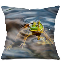 Frog Portrait While Looking At You Pillows 87992268