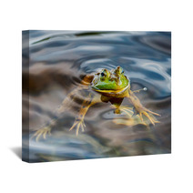 Frog Portrait While Looking At You Wall Art 87992268