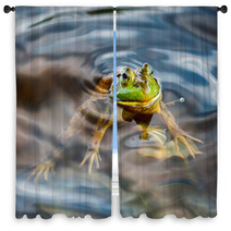 Frog Portrait While Looking At You Window Curtains 87992268