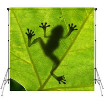 Frog Shadow On The Leaf Backdrops 24745348