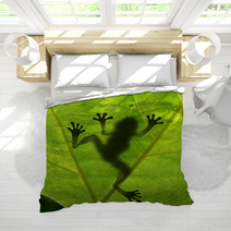 Frog Shadow On The Leaf Bedding 24745348