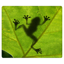 Frog Shadow On The Leaf Rugs 24745348