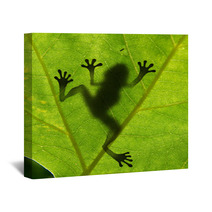 Frog Shadow On The Leaf Wall Art 24745348