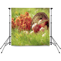 Fruits And Flowers In Autumn Backdrops 68843174
