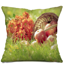 Fruits And Flowers In Autumn Pillows 68843174