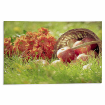 Fruits And Flowers In Autumn Rugs 68843174