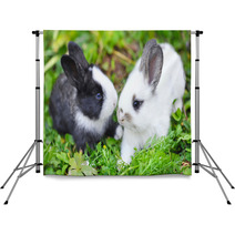 Funny Baby Rabbits In Grass Backdrops 57941882
