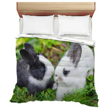 Funny Baby Rabbits In Grass Bedding 57941882
