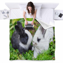 Funny Baby Rabbits In Grass Blankets 57941882