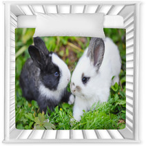 Funny Baby Rabbits In Grass Nursery Decor 57941882