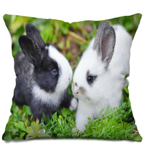 Funny Baby Rabbits In Grass Pillows 57941882