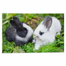Funny Baby Rabbits In Grass Rugs 57941882