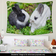 Funny Baby Rabbits In Grass Wall Art 57941882