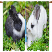 Funny Baby Rabbits In Grass Window Curtains 57941882