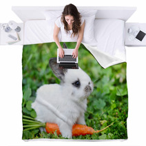 Funny Baby White Rabbit With A Carrot In Grass Blankets 57941839