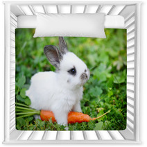 Funny Baby White Rabbit With A Carrot In Grass Nursery Decor 57941839