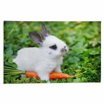 Funny Baby White Rabbit With A Carrot In Grass Rugs 57941839