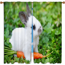 Funny Baby White Rabbit With A Carrot In Grass Window Curtains 57941839