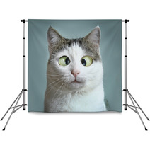 Funny Cat At Ophtalmologist Appointmet Backdrops 138823172