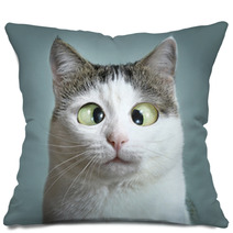 Funny Cat At Ophtalmologist Appointmet Pillows 138823172