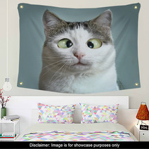 Funny Cat At Ophtalmologist Appointmet Wall Art 138823172