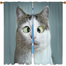 Funny Cat At Ophtalmologist Appointmet Window Curtains 138823172