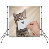 Funny Cat With Smile On Cardboard Backdrops 193384026