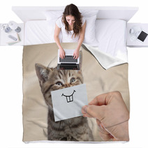 Funny Cat With Smile On Cardboard Blankets 193384026
