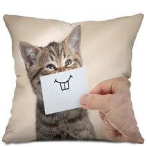 Funny Cat With Smile On Cardboard Pillows 193384026