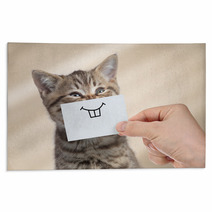Funny Cat With Smile On Cardboard Rugs 193384026