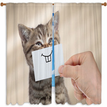 Funny Cat With Smile On Cardboard Window Curtains 193384026