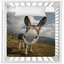Funny Donkey, Equus Africanus Asinus Nursery Decor 50196223