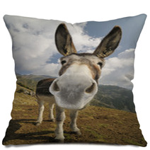 Funny Donkey, Equus Africanus Asinus Pillows 50196223