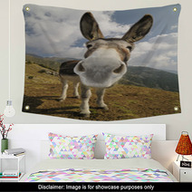 Funny Donkey, Equus Africanus Asinus Wall Art 50196223