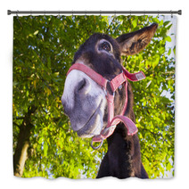 Funny Donkey With Backlighting In The Meadow Bath Decor 93268455
