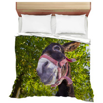 Funny Donkey With Backlighting In The Meadow Bedding 93268455