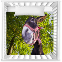 Funny Donkey With Backlighting In The Meadow Nursery Decor 93268455