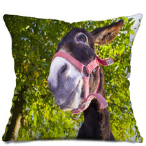Funny Donkey With Backlighting In The Meadow Pillows 93268455