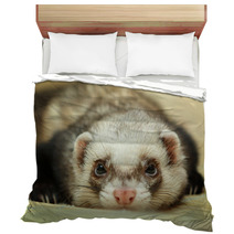 Funny Ferret On Bamboo Mat Bedding 59516040