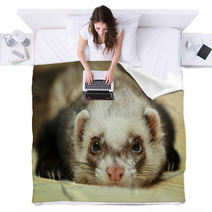 Funny Ferret On Bamboo Mat Blankets 59516040