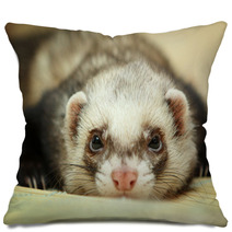 Funny Ferret On Bamboo Mat Pillows 59516040