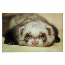Funny Ferret On Bamboo Mat Rugs 59516040