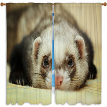 Funny Ferret On Bamboo Mat Window Curtains 59516040