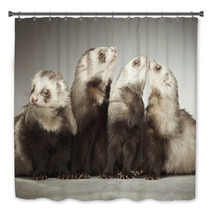 Funny Group Of Four Ferrets In Studio Bath Decor 99012178