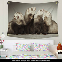 Funny Group Of Four Ferrets In Studio Wall Art 99012178