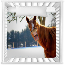 Funny Horse Nursery Decor 72564896