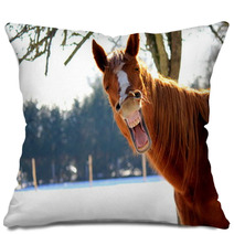 Funny Horse Pillows 72564896