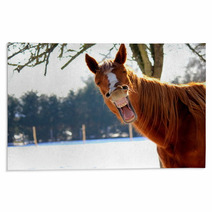 Funny Horse Rugs 72564896