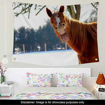 Funny Horse Wall Art 72564896